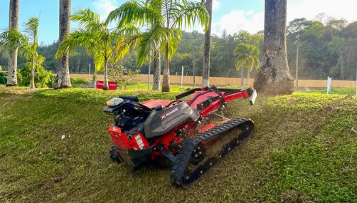 RC Slope Mowing Action